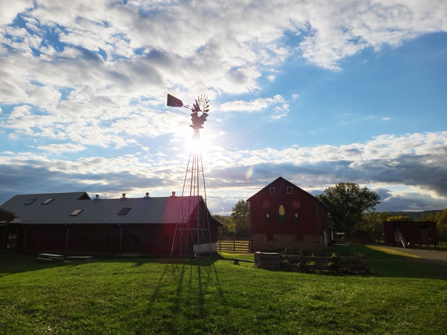 Temple Hall Farm Regional Park